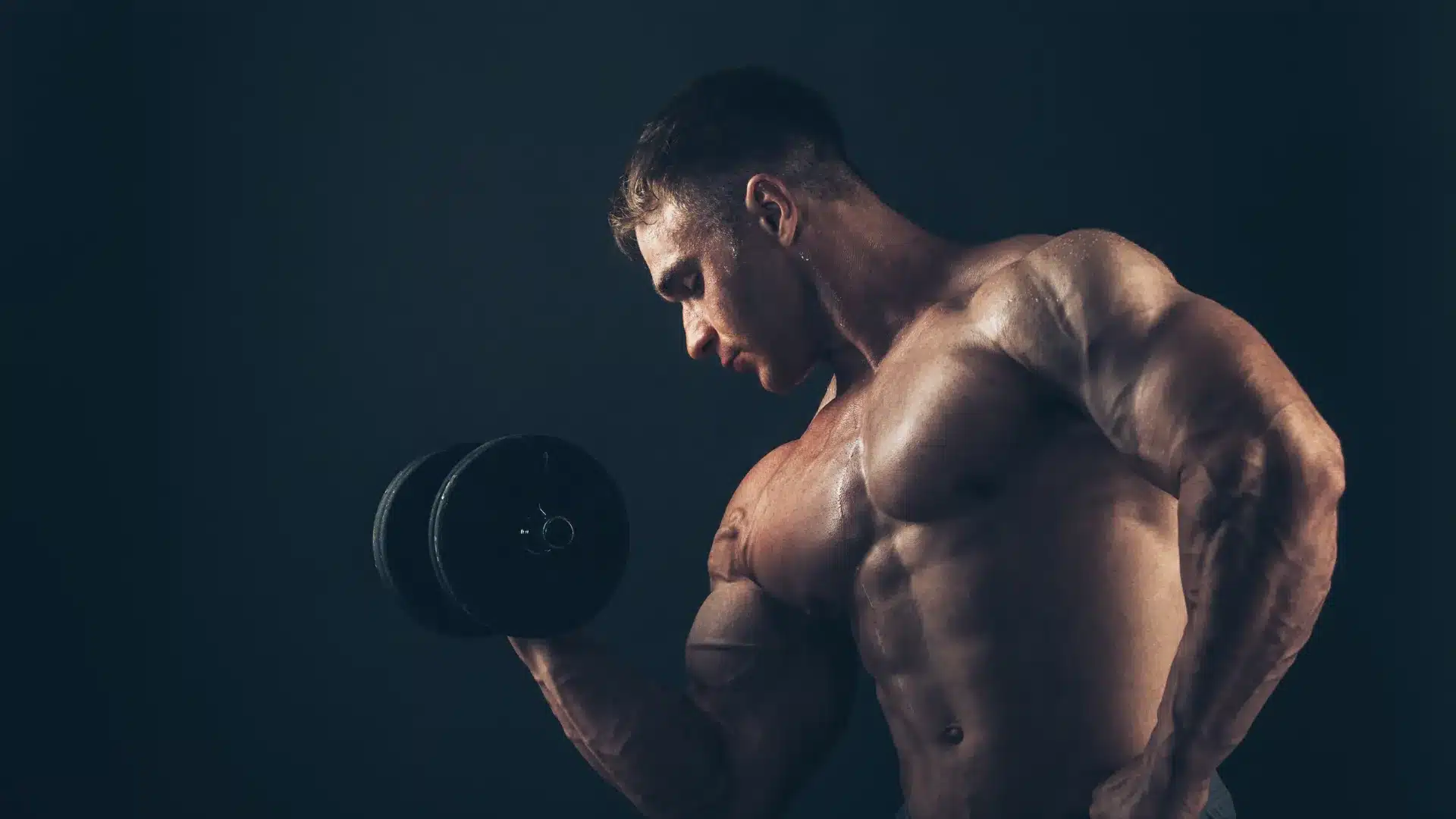 4 programmes pour faire grossir ses biceps et triceps en 8 semaines