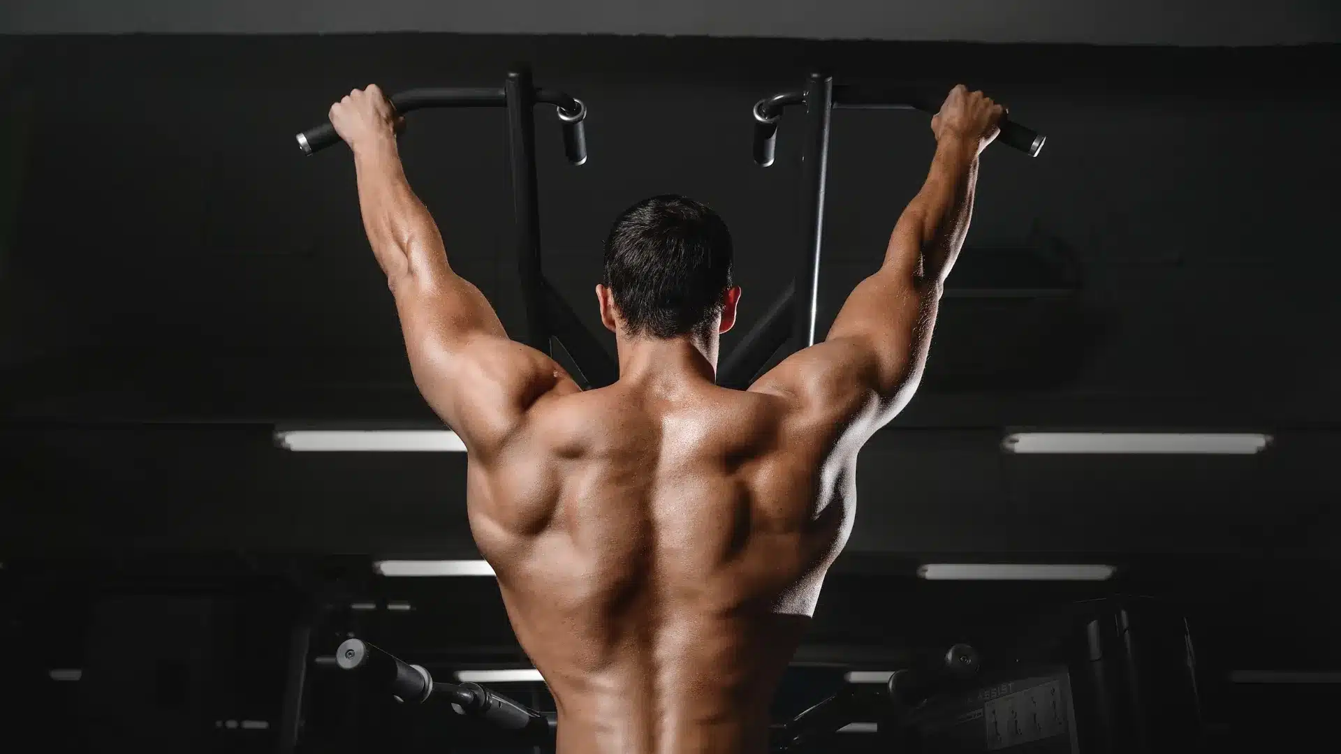 Musclez votre dos : exercices et programme pour gagner en force et en définition
